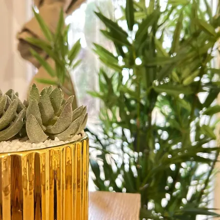 Appartement L'étoile Dorée Avec Parking *