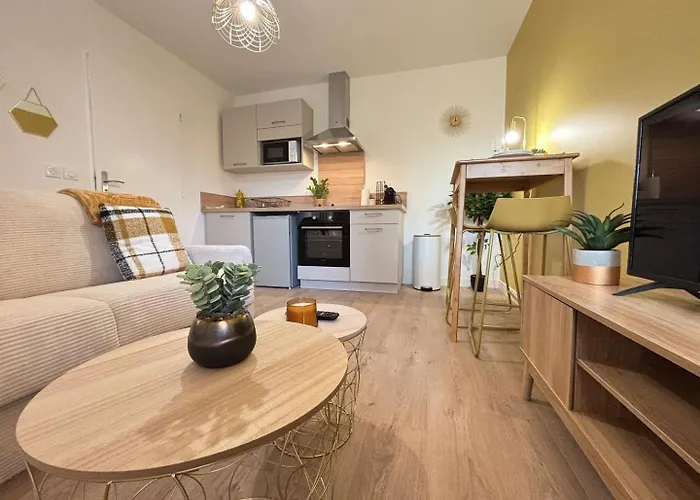 Apartment L'etoile Doree Avec Parking Valence (Drome)