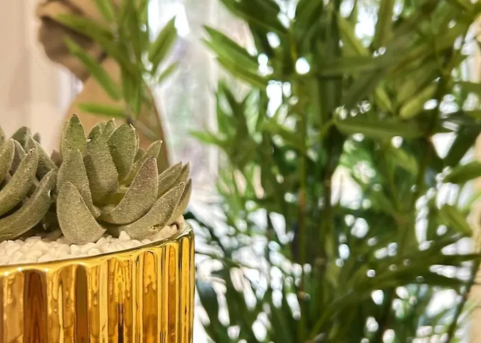 Apartment L'etoile Doree Avec Parking *